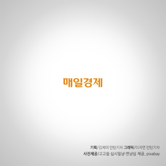 캠퍼스 고양이의 따뜻한 겨울나기 | 인스티즈