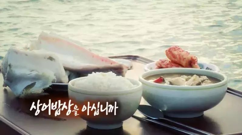 한국인의 밥상 - 상어 밥상 | 인스티즈