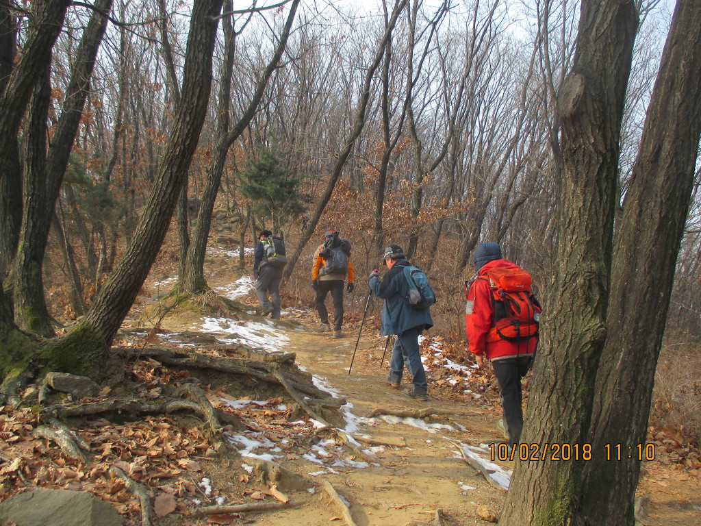 구룡산 정상 이미지