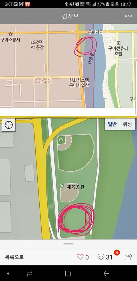 안락사될 아이들이랑 유기현장에서 발견했지만 보호소로 보내진 아이들 보고가줘ㅠㅠㅠ(여러마리고 지역도 여러군데야) | 인스티즈
