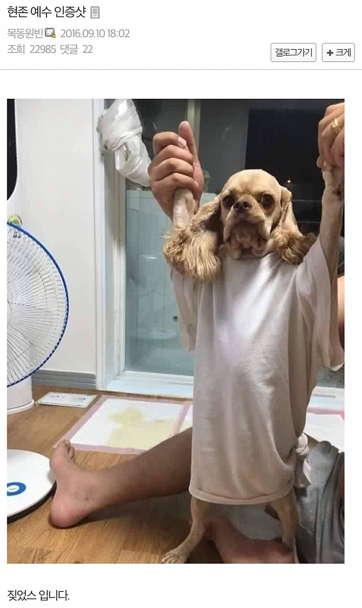 현존 예수 인증샷.jpg | 인스티즈