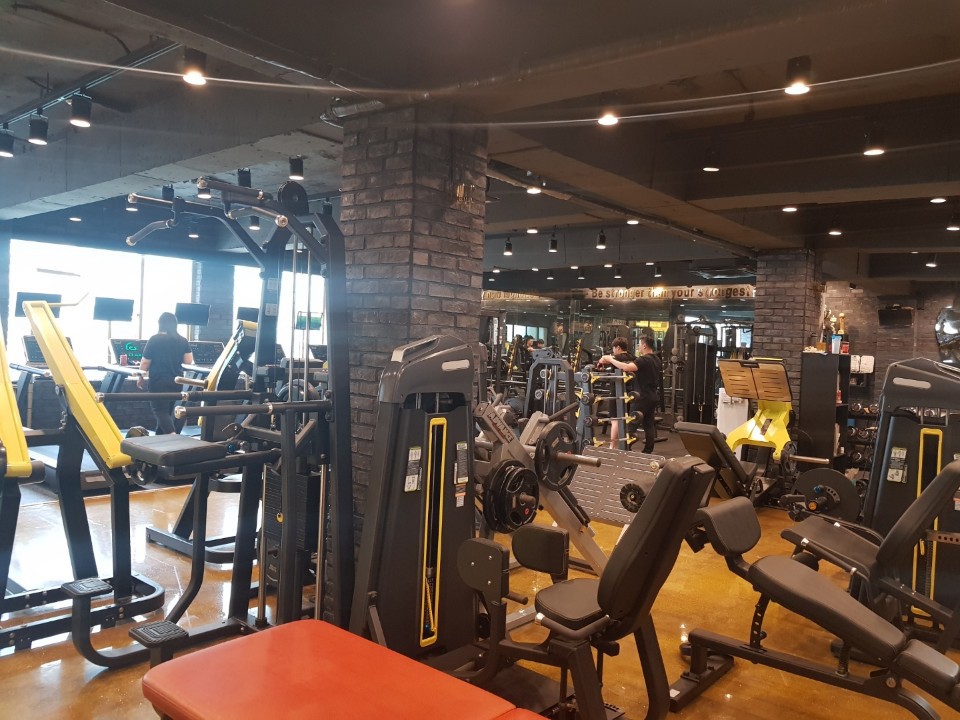 더파트바디랩 이미지