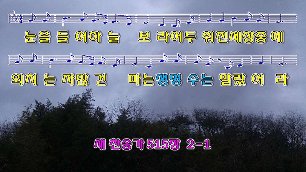 하늘보라 이미지