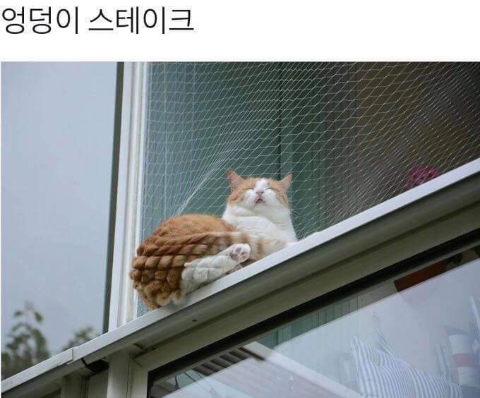 엉덩이 스테이크.jpg | 인스티즈