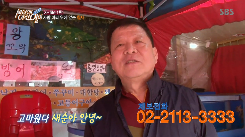 [세상에이런일이] 엄청 충격적이였던 오늘편 사람을 좋아하는 참새 새순이 이야기.jpg | 인스티즈