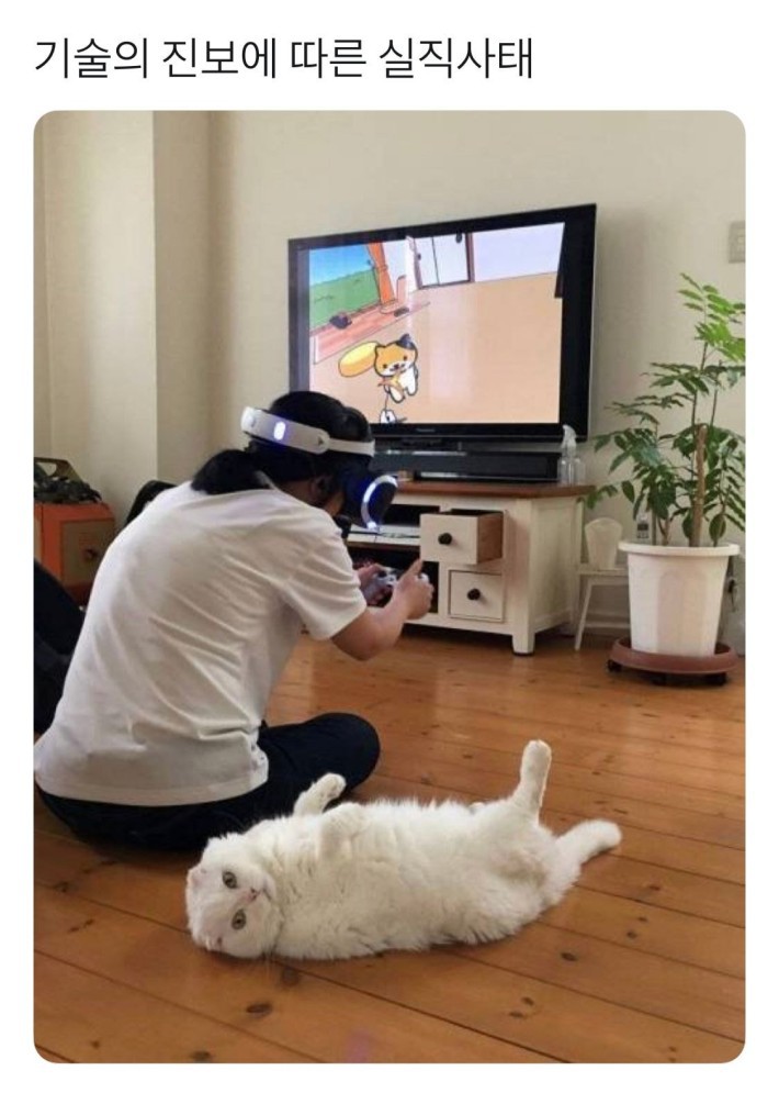 실직한 고양이 .jpg | 인스티즈