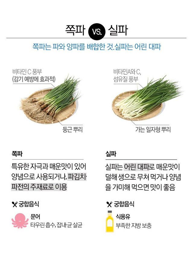 파프리카와 피망의 차이 | 인스티즈