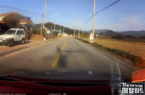 [블박] 시골길 127km | 인스티즈