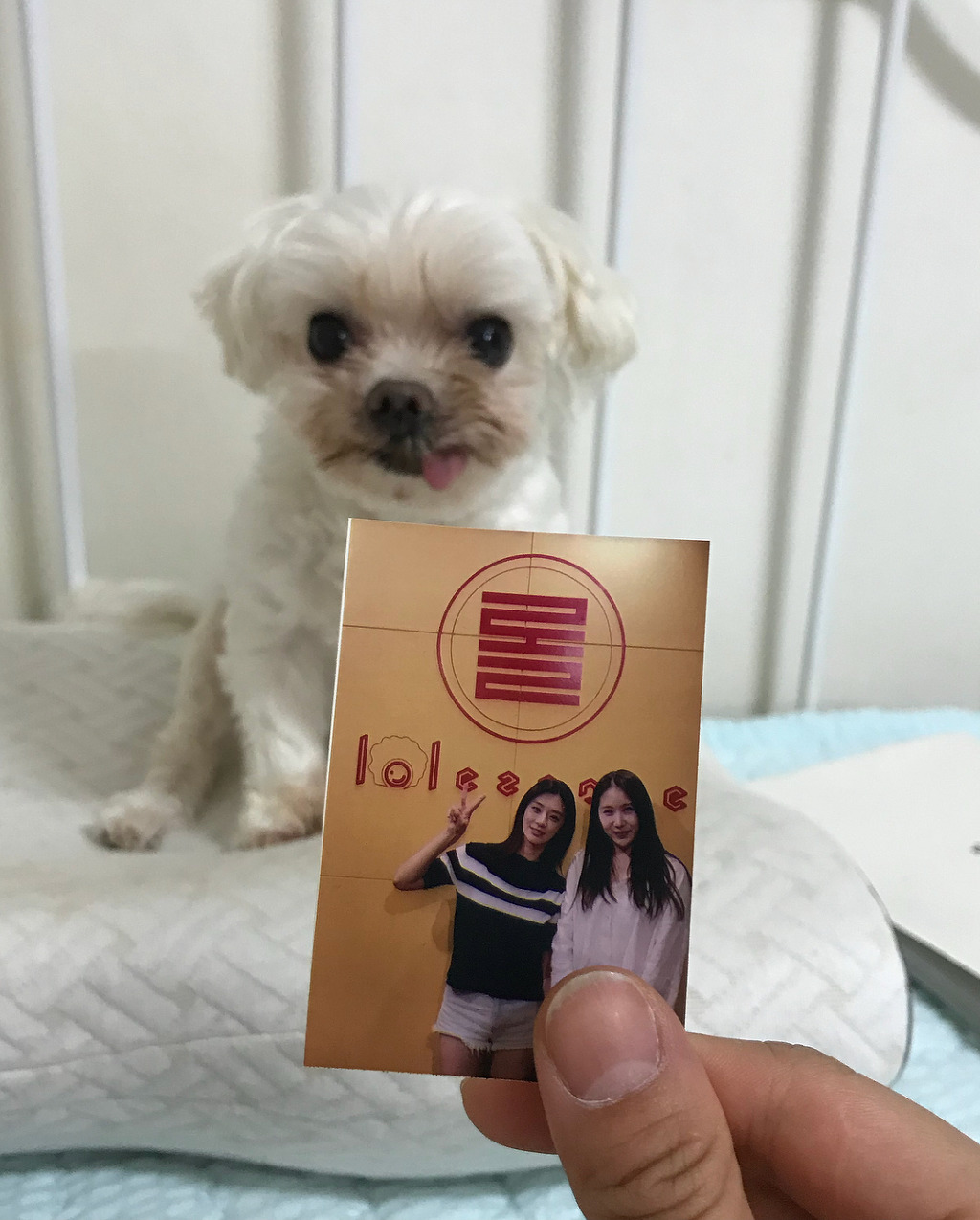 어제자 이주빈 인스타그램(+선거인증샷).jpgif | 인스티즈