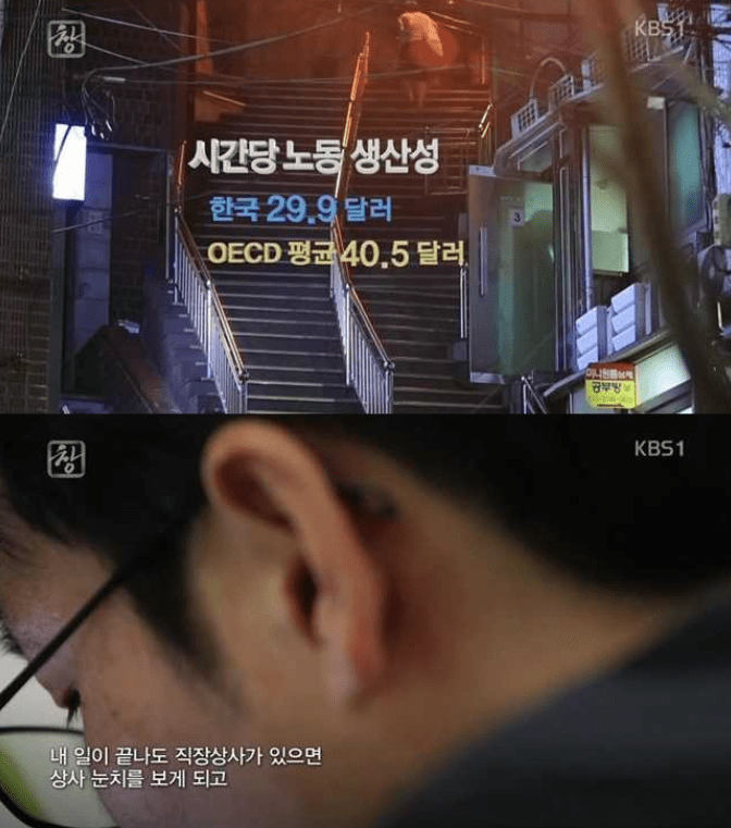저녁 도시락이 잘 팔리는 이유 | 인스티즈