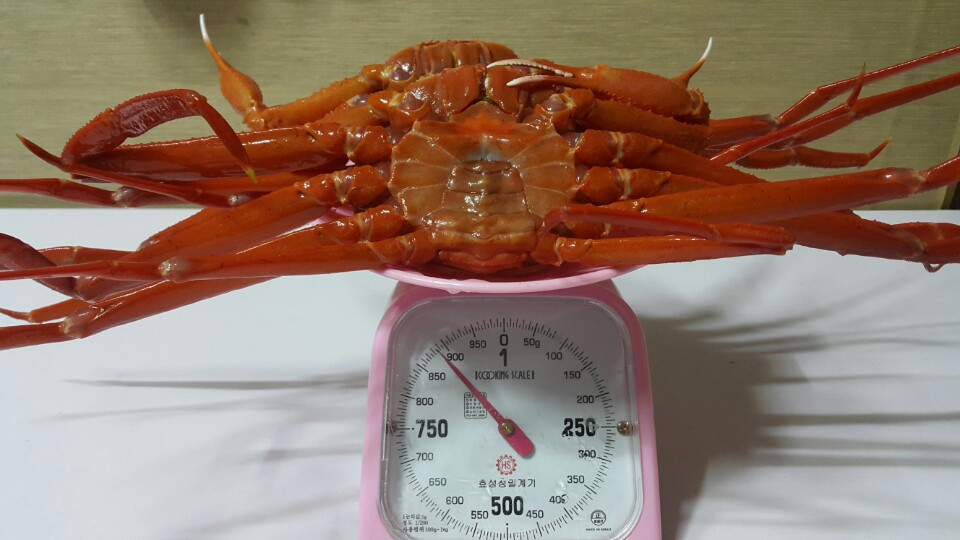 싱싱수산 이미지