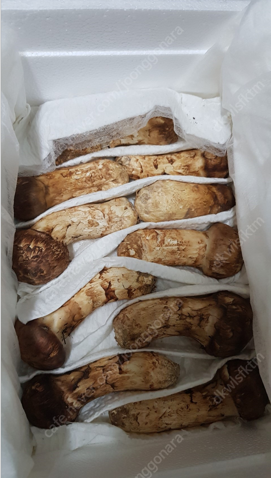 오늘자 중고나라...jpg | 인스티즈