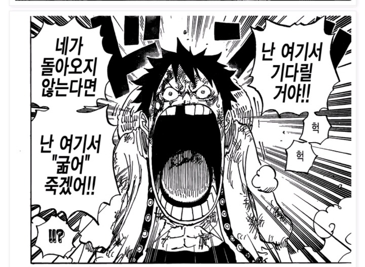 어인동료와 인간동료 대하는 루피의 태도 | 인스티즈