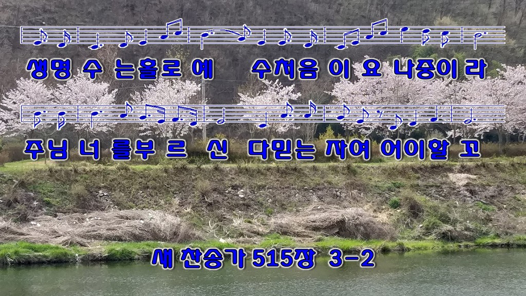 하늘보라 이미지