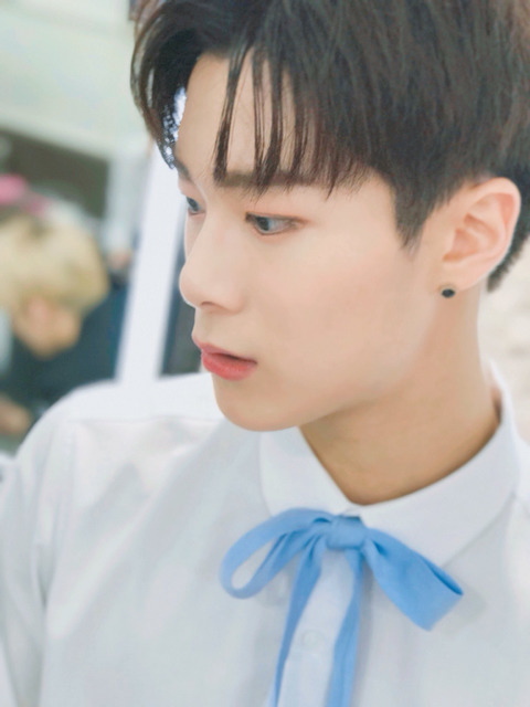 달콩 이미지