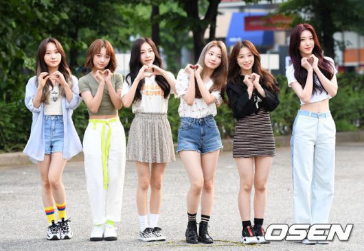 펀치 이미지