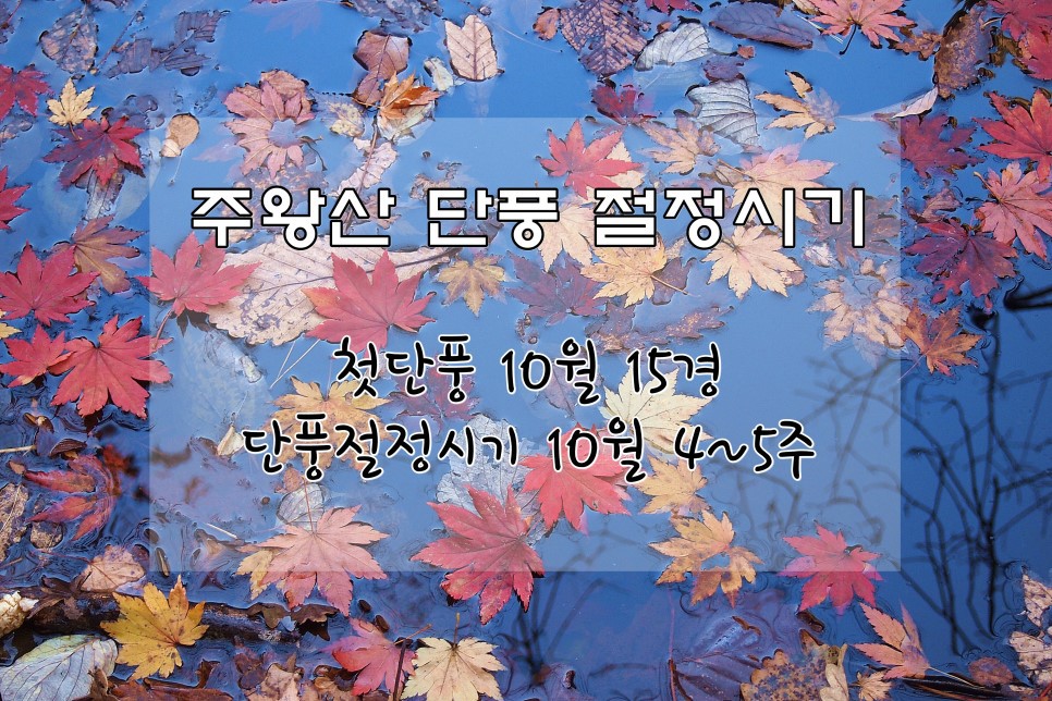주왕산주유소 이미지