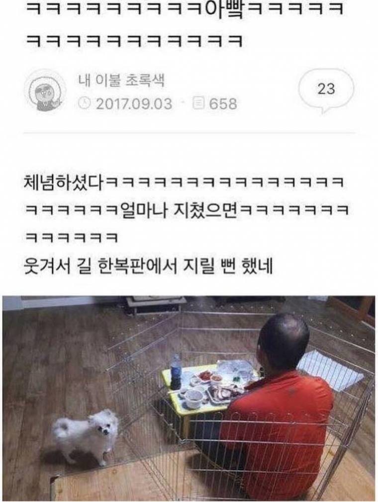 진정한 펜스룰.jpg | 인스티즈