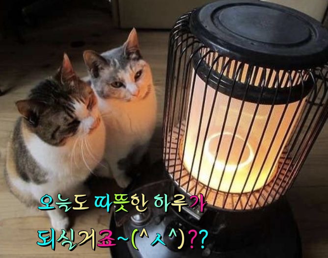 무지개다방 이미지