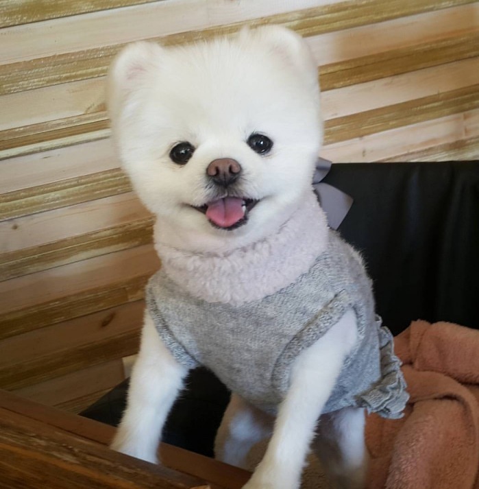 90년대생 생일파티 장소 | 인스티즈