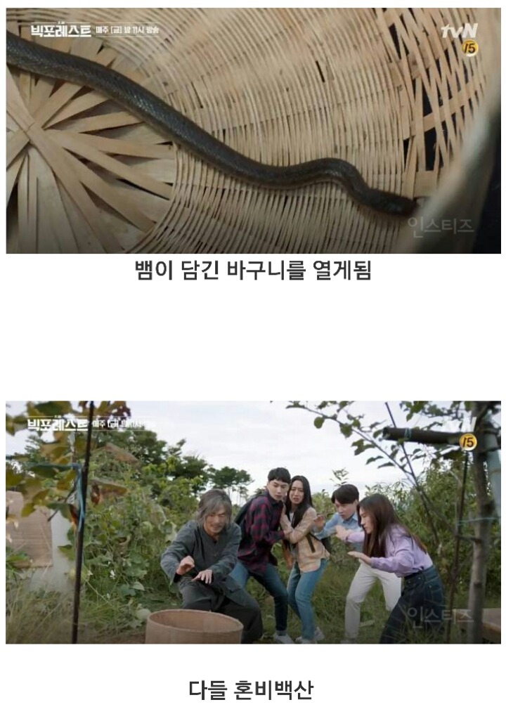 자연인을 만난 정상훈 | 인스티즈