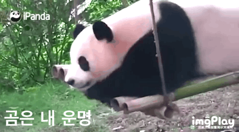 무념무상의 시간 | 인스티즈