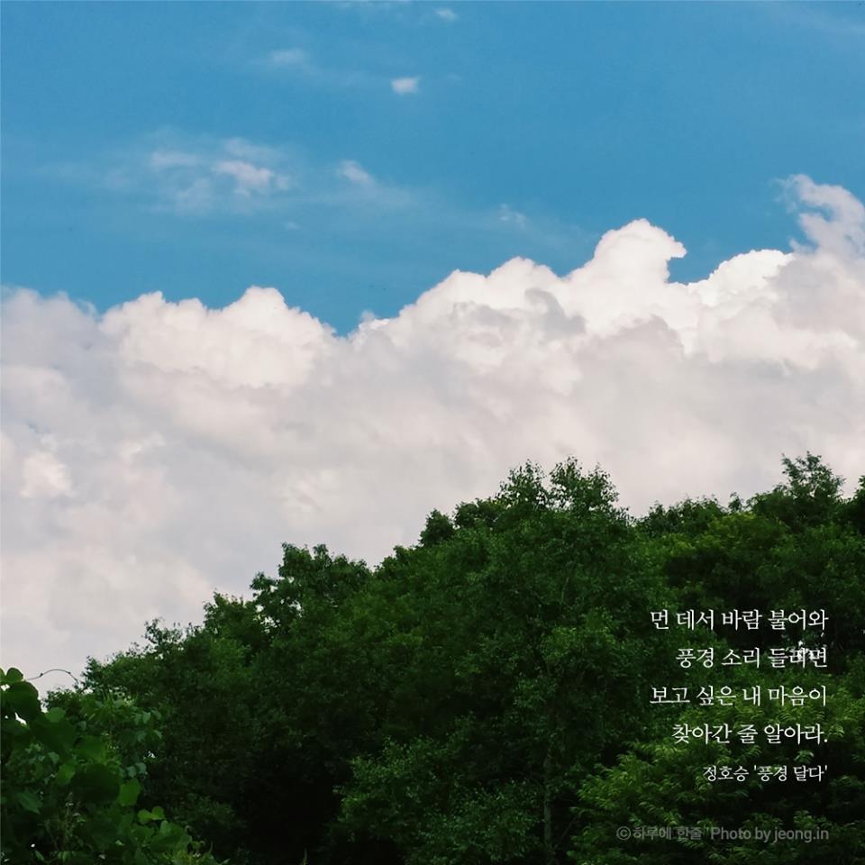 좋은 사진에 좋은 글이 더해지면(주제없음).jpeg | 인스티즈