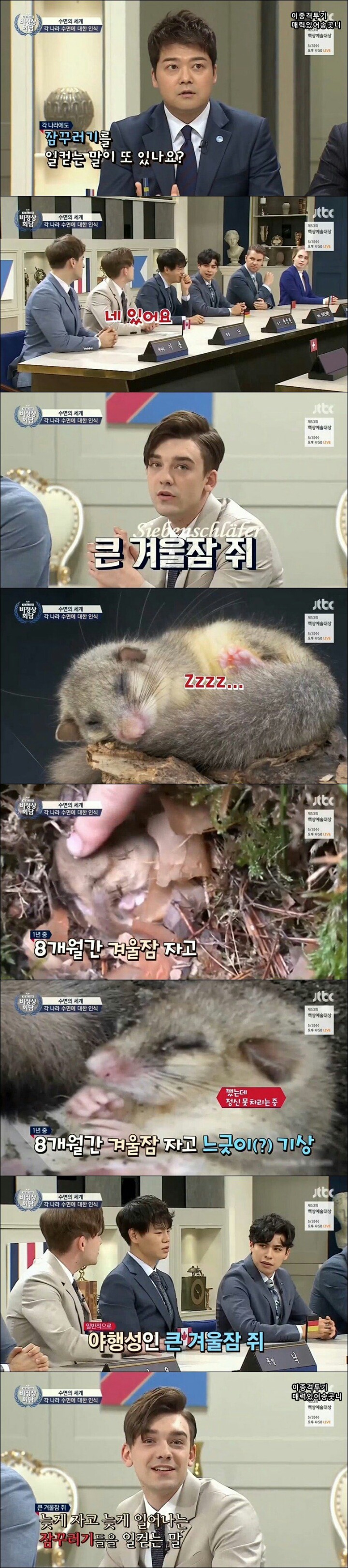독일에서 잠꾸러기를 일컫는 말 | 인스티즈