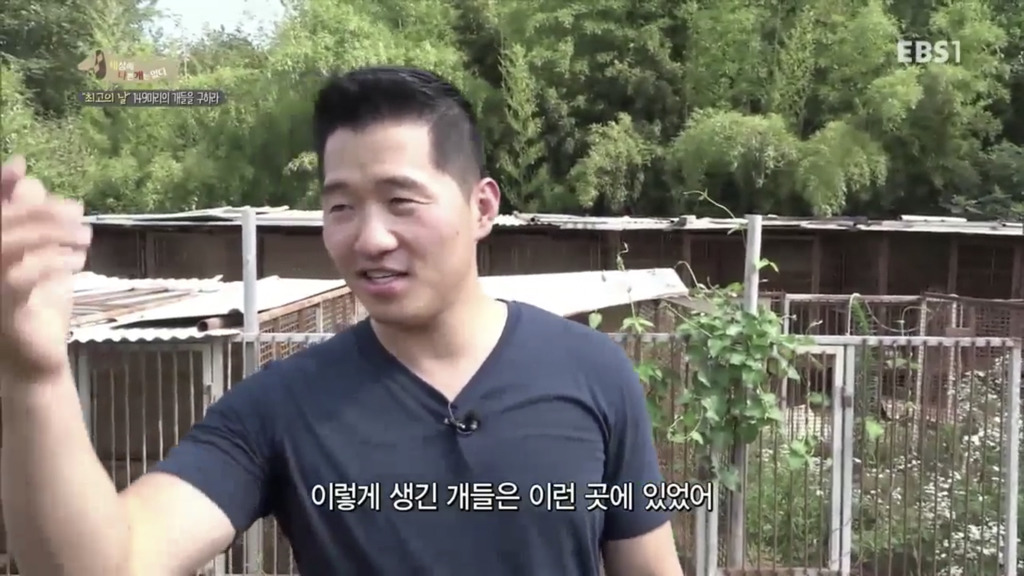 어떻게 사람을 그렇게 좋아할 수 있죠? | 인스티즈