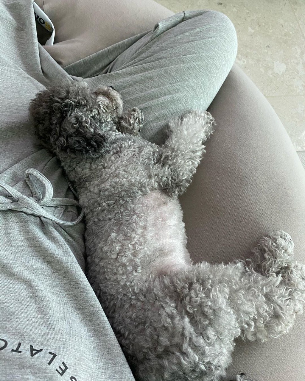 99980A3A5F3ECF4207621B