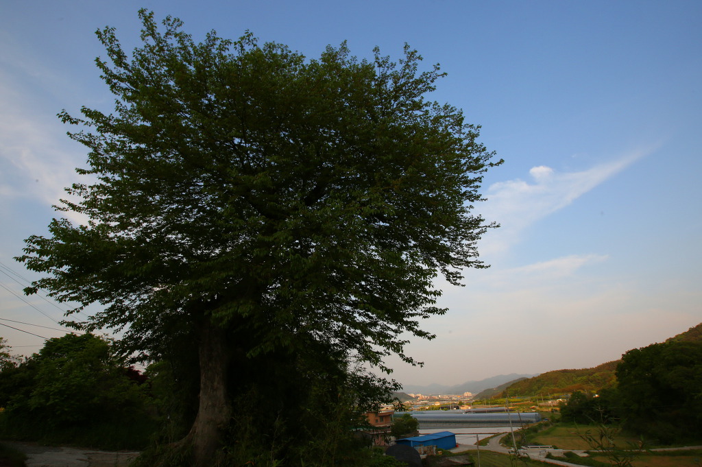 올바른농원 이미지