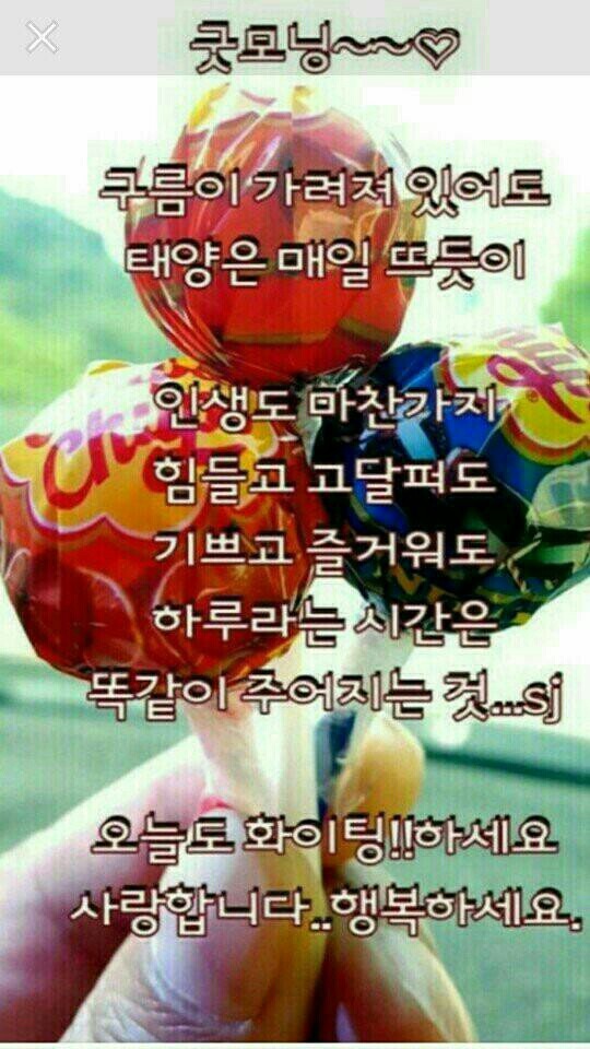 행복한 아침 이미지