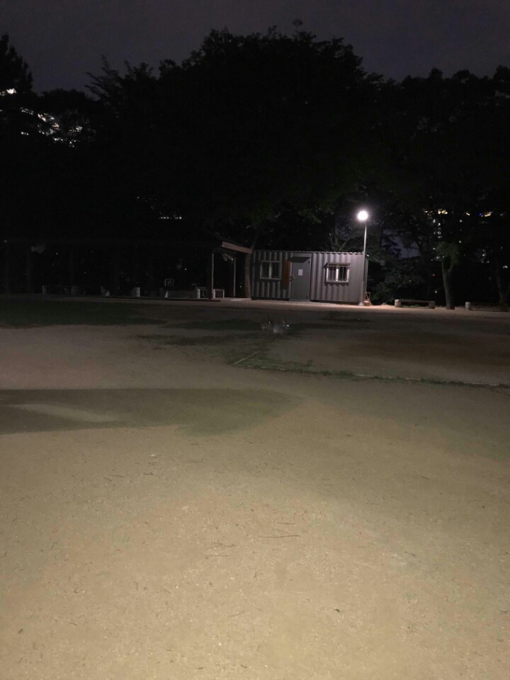 디씨인의 동네 헬스장 풍경 | 인스티즈