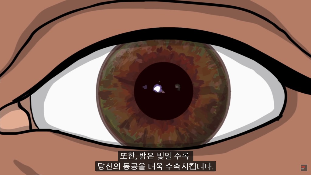 여러분의 눈에 둥둥 떠다니는 그것들은 무엇일까요? | 인스티즈