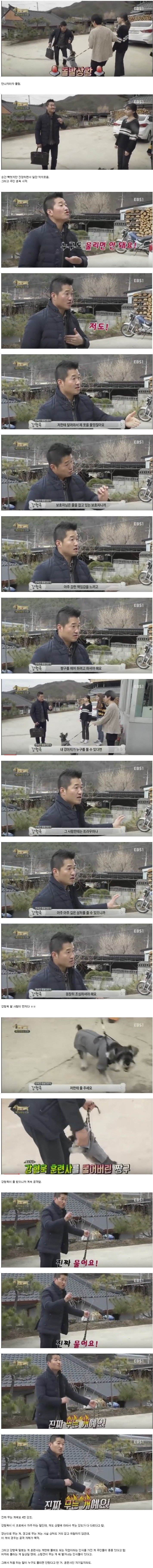 사람무는 개를 만나게 된 강형욱 | 인스티즈