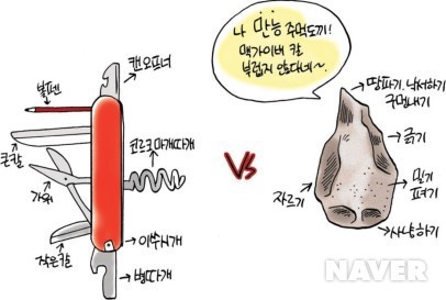 구석기 시대는 실제로 없었다! 주작이었다! | 인스티즈