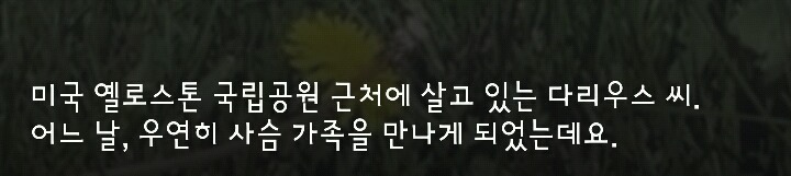 다리 다친 아기사슴을 구해주면 생기는 일.gif (데이터30MB) | 인스티즈