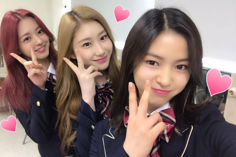 카즈 이미지
