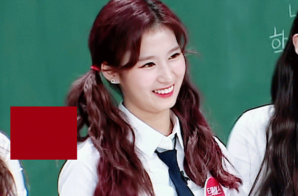 시바견인가 다람쥐인가....... 사나 | 인스티즈