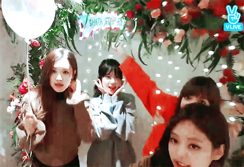순둥순둥한 블랙핑크 V앱.gif | 인스티즈