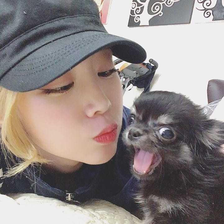 러블리즈 지수의 뽀뽀를 격하게 거절하는 댕댕이.jpg | 인스티즈