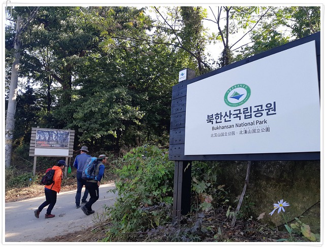 대동사 이미지