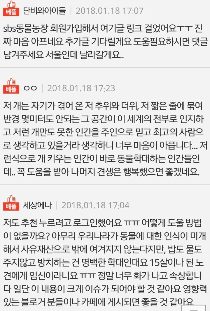 바닷가 담넘어 불쌍한강아지.... 추위와 굶주림에 떨고 있는 강아지를 구해주세요! | 인스티즈