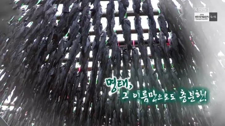 한국인의 밥상 - 명태 | 인스티즈