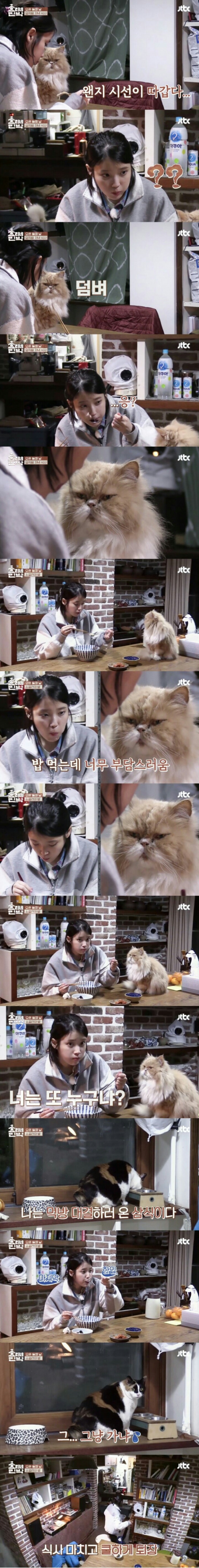 아이유에게 보내는 뜨거운 시선 | 인스티즈