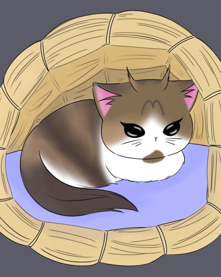 코코부엉이 이미지