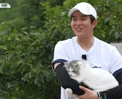 [삼시세끼] 처음 본 잭슨 때문에 놀라서 귱집사 팔 꼬옥 붙드는 고양이 쿵이.gif | 인스티즈