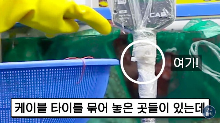 수산물 시장가서 유심히 봐야할 저울 사기치는 방법 | 인스티즈