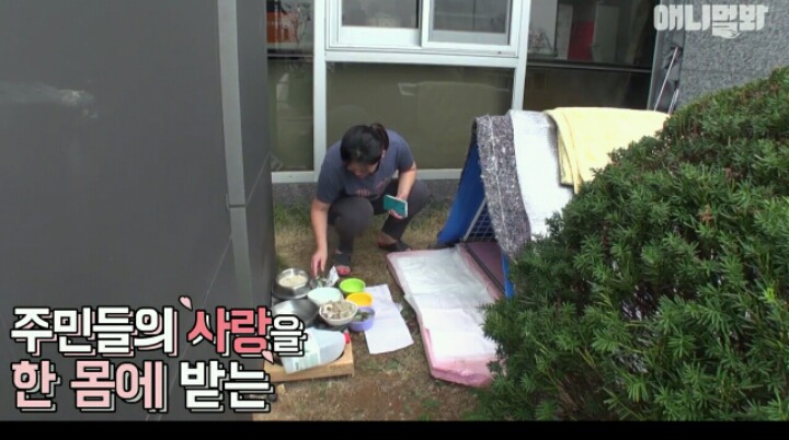 새끼는 사람한테 맡기고 아파트 경비서는 개 | 인스티즈