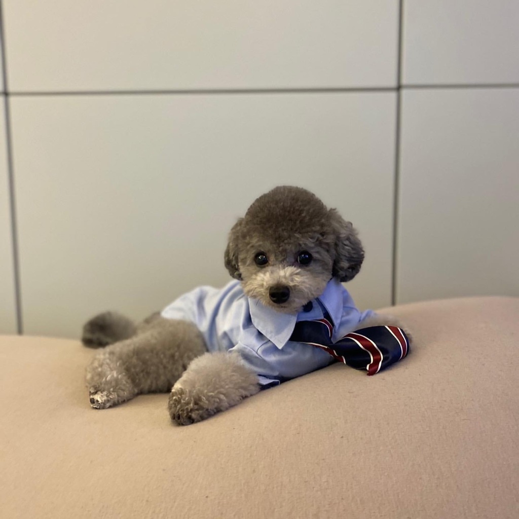 99C753385F3ECF4808B2F7